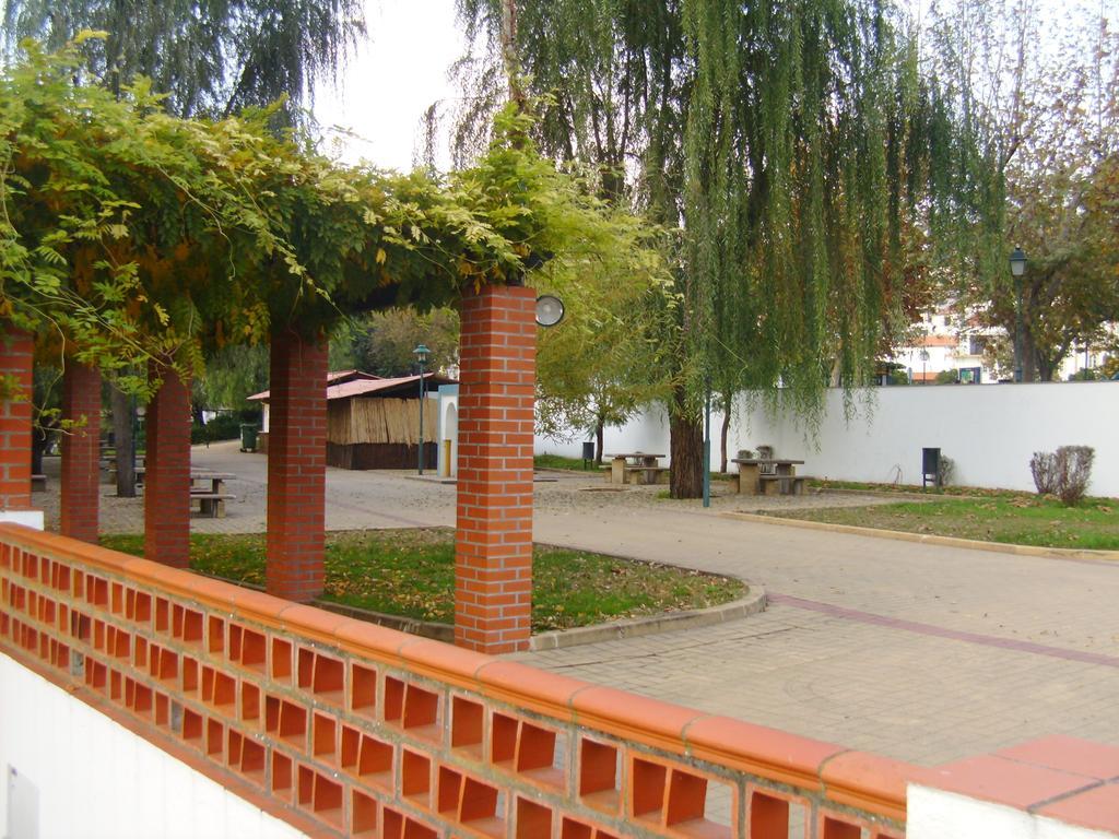 Casa Joao Chagas Guesthouse, Constancia, By Viva A Vida - Alojamentos E Hotels חדר תמונה